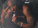 RAP / HIP HOP LP - 2 PAC 