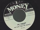 THE M-M'S AND THE PEANUTS lil' valley/open up your eyes SOUL 45 on MONEY