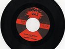 Dorothy Williams  -  Watchdog  /  Closer To My Baby  - Soul 45