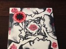 Blood Sugar Sex Magik Red Vinyl by Red Hot Chili Peppers Record Store Day Vinyl