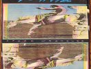 WIDESPREAD PANIC Space Wrangler LANDSLIDE LP original 1988 SEALED with insert