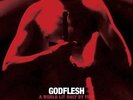 GODFLESH A World Lit Only By Fire Vinyl LP 2014 (10 Tracks) NEW & SEALED