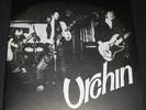 URCHIN -Urchin - RARE