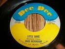 DAVID ROCKINGHAM  GROVIN ALONG/ LITTLE DAVIE  RARE SOUL  DEE DEE D-2114