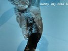 The Rising Tide * by Sunny Day Real Estate (Vinyl, Jun-2000, Time Bomb...
