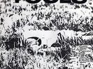 TOOLS - ORIGINAL ISSUE - MINT Hard Wark/The Road Forever - Subterranean