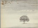 Genesis - Wind And Wuthering JAPAN PROMO LP with INSERTS, NM VINYL