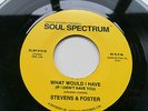 Stevens & Foster I Want to be Love / What Would i - Soul Spectrum  Records  EX