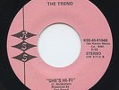 HEAR - Rare Power Pop 45 - The Trend - She's Hi-Fi - KSS # 8104