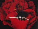 SMASHING PUMPKINS**ADORE (RM/GATEFOLD)**2 VINYL SET