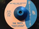RARE 45 - THE TRIPPS GIVE IT BACK /HERE COMES Northern Soul LISTEN
