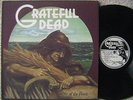GRATEFUL DEAD 