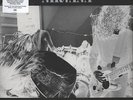 Nirvana - Bleach Vinyl US LP