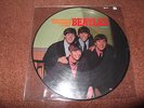 THE BEATLES PLEASE PLEASE ME  PICTURE DISC LP.EX.