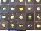 COLLECTION OF APPLE LABEL 7