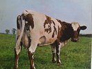 PINK FLOYD - - ATOMIC HEART MOTHER. LP- NO EMI ON BOX A1/B1