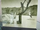 TONTON MACOUTE  - NEON NE 4 - ORIGINAL 1971