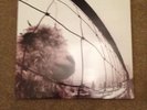 Pearl Jam Vs Vinyl LP