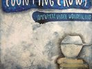 COUNTING CROWS - Somewhere Under Wonderland - gatefold LP + MP3 download code