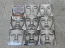 BAD RELIGION-THE GRAY RACE-LP-GRAY VINYL-SHRINK-LTD. ED-HYPE STICKER-STERLING-NM