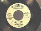 THE ELECTRAS BOO BABE/CAN'T YOU SEE IT IN MY EYES 60's GARAGE PUNK BAND PROMO