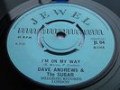 DAVE ANDREWS & THE SUGAR - I'M ON MY WAY RARE 1968 JEWEL JOE MEEK FREAKBEAT 45