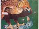 FIELDS: S/T 71' ORIG UK vinyl lp w/ HUGE POSTER CBS prog rock PSYCH space NM-