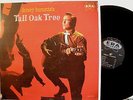 DORSEY BURNETTE tall oak tree -12