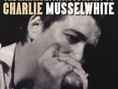 Charlie Musselwhite - The Harmonica According To - Vinyl Audiophile Blues Rec...
