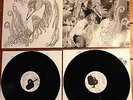 Björk: Vespertine (Doppel-LP, Vinyl)