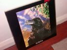 The Stranglers 'The Raven' (1979) 3D sleeve