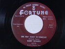 Danny Richards 45 ONE WAY TICKET / ..TALKING ABOUT YOU   Fortune 222 VG  c+w