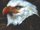 MOGWAI The Hawk Is Howling Vinyl LP NEW & SEALED