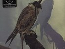 Iceage - You're Nothing Vinyl US LP