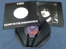 T REX 