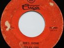 Rare Sweet Soul 45 - Step By Step - Time After Time - She's Gone - CUCA mp3