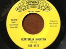 BOB HAYS / RARE TEXAS TEEN POPCORN 45 on SEVENS INT. Heartbreak Mountain LISTEN