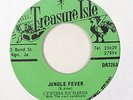 Reggae Funk 45   Cynthia Richards   Jungle Fever   Treasure Isle   mp3 VG+