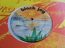 Johnny Osbourne PURIFY YOUR HEART Black Joy 12