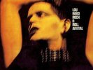 Lou Reed Rock N Roll Animal NEAR MINT RCA Victor Vinyl LP