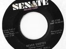 The Basement Wall   Never Existed   Killer Fuzz Garage Rare   Listen