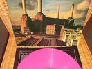 Pink Floyd- Animals- Vinyl LP (farbig)- 1977- Germany