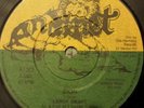 Leroy Smart Zion Killer Roots 7