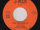 Northern/Deep Soul 45 - Johnny Jackson - What You Gonna Do - J-Mer - mp3