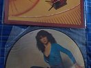 KATE BUSH THE KICK INSIDE LTD ED PICTURE DISC