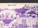 STUPID - delayed picnic LP + book
