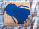 Jennifer Warnes - Famous Blue Raincoat Vinyl LP - In Excellent Condition