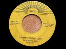RISING SUN THE SUN ONE NIGHT AFFAIR RARE SUNCUT DO WHAT YOU'RE DOIN   R&B 45
