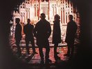 INSPIRAL CARPETS - Inspiral Carpets - LP