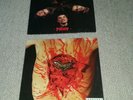 Dismember LP Pieces  & Indecent and Obscene